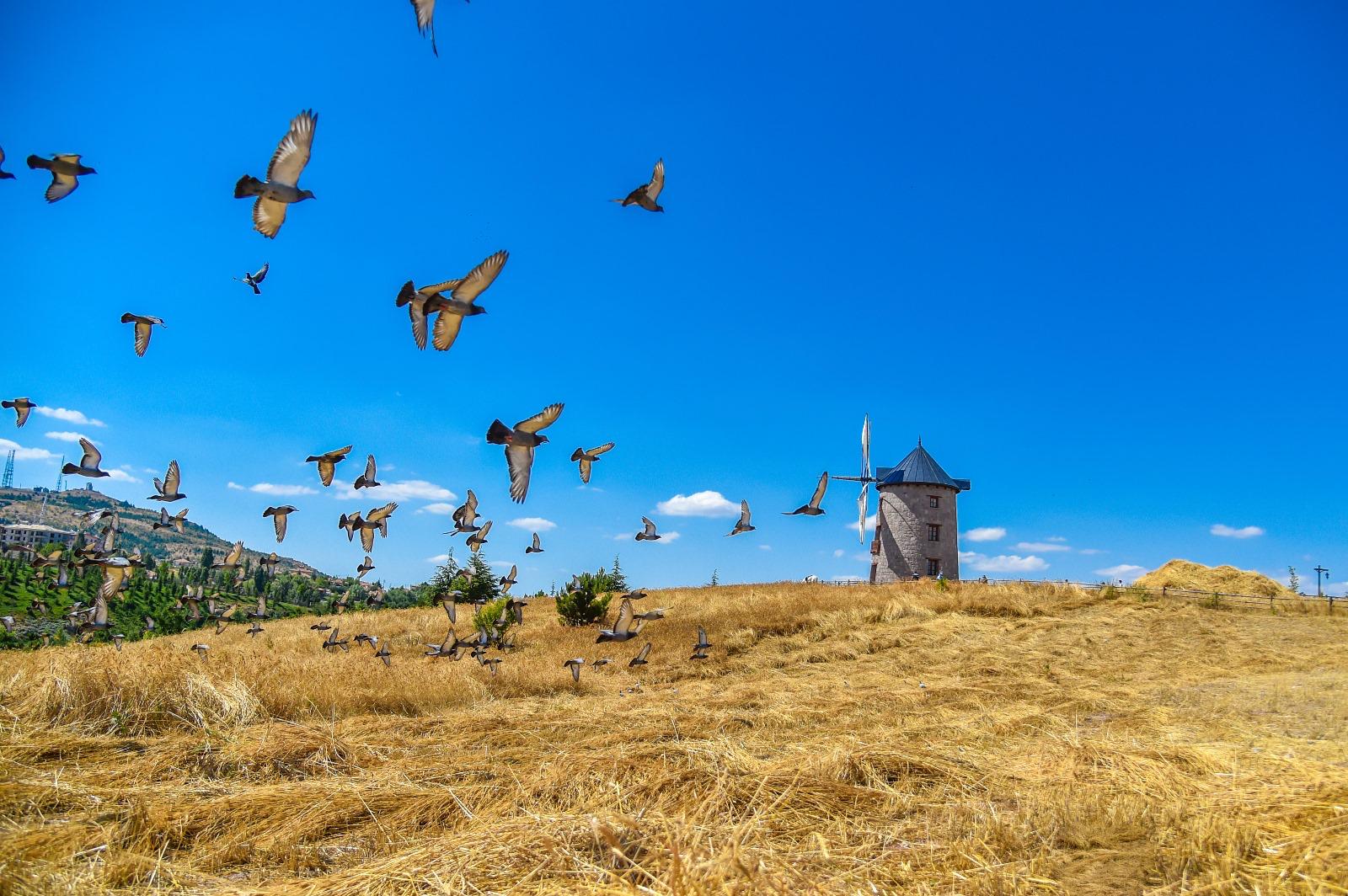 2 MUSEUMS OF ALTındağ MUNICIPALITY ARE ON THE WORLD LIST
