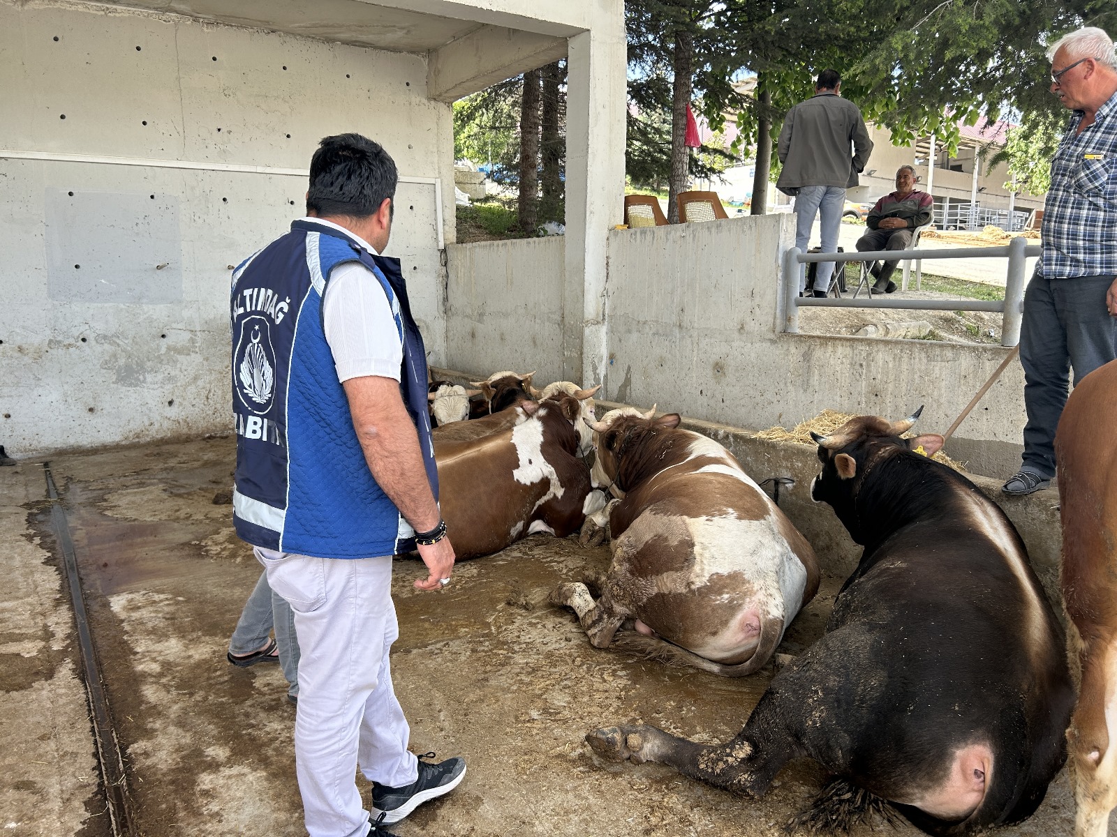 FINAL CHECKS WERE DONE ON THE SACRIFICES IN ALTındağ