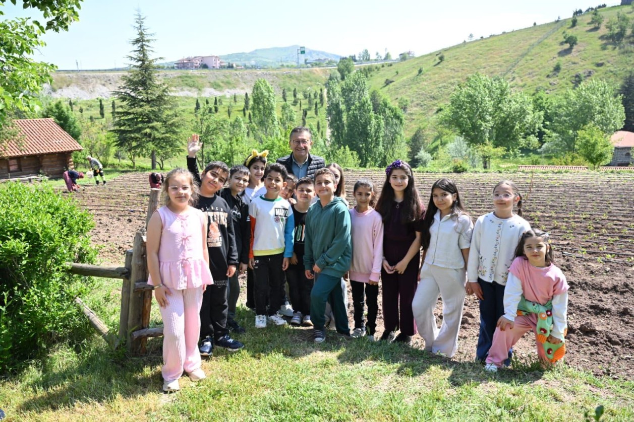 COME ON CHILDREN, LET'S GO TO THE GARDEN!