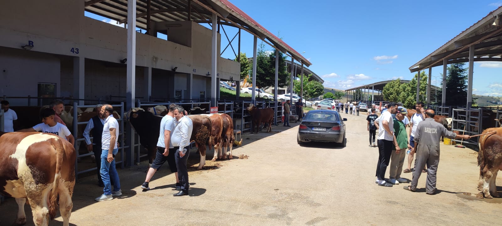 Eid-al-Adha intensity in ALTındağ